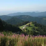 'auf Dem Burstel'
