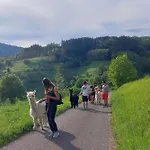 아파트 'auf Dem Burstel' Kleines Wiesental