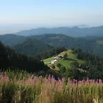 'auf Dem Burstel'