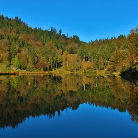 'auf Dem Burstel' Kleines Wiesental