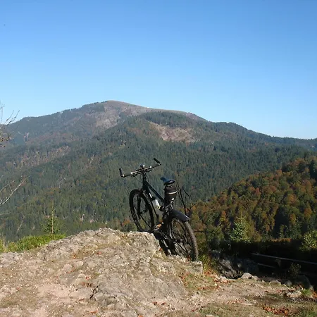 Apartmán 'auf Dem Burstel' Kleines Wiesental