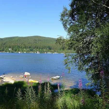 'auf Dem Burstel' * Kleines Wiesental