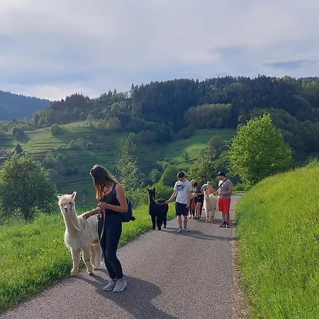 'auf Dem Burstel' Apartmán Kleines Wiesental