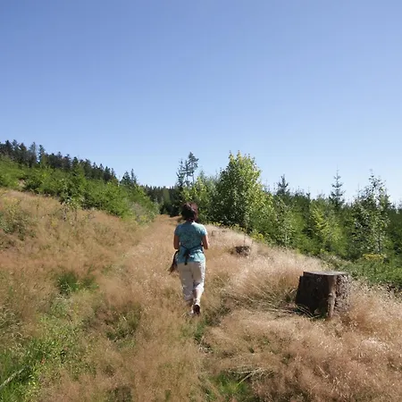 Apartmán 'auf Dem Burstel' Kleines Wiesental