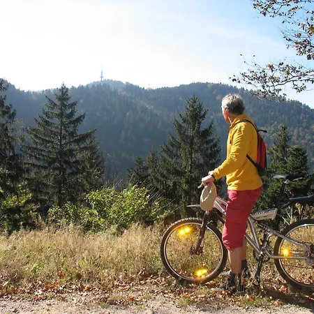 Apartmán 'auf Dem Burstel' *