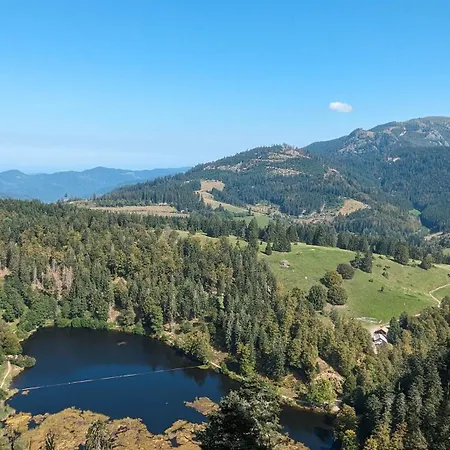 'auf Dem Burstel' * Kleines Wiesental