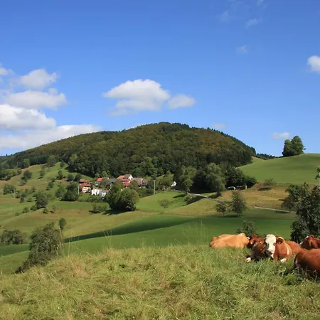 'auf Dem Burstel' Kleines Wiesental