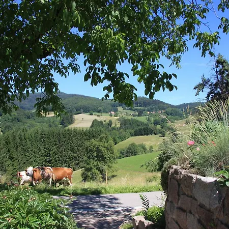 Apartment 'auf Dem Burstel' Kleines Wiesental