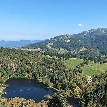 'auf Dem Burstel' * Kleines Wiesental